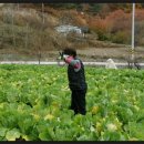 봉암농장 이미지