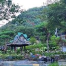 세인트 인 우둠지 펜션 이미지