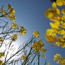 대저생태공원 이미지