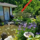 고운리농장 이미지