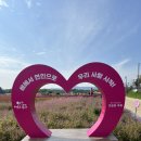 그늘막66 | [양주 나리농원] 천만송이 천일홍 축제 내돈내산 솔직후기 🌸｜주차·티켓·운영시간·후기