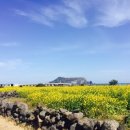 라움아동발달연구소