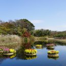 부락산 둘레길 이미지