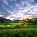 다사랑중앙병원 이미지