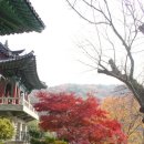 광덕사 이미지