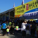 살맛나는 청정녹색도시 명품횡성한우와 함께하는 제10회 횡성한우축제 여행블로거기자단 팸투어 이미지