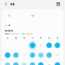 네이버블로그