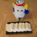 화순농협하나로마트 이미지