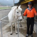 박석순농장 이미지