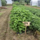 유정농장 이미지