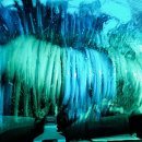 동운주유소 이미지