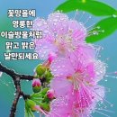 두식이