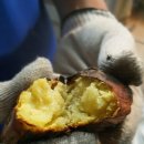 가야산노블레스 이미지