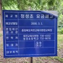 청성초 묘금분교 이미지