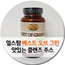 얼스팜 | [클렌즈주스 다이어트]얼스팜 베스트 오브 그린으로 맛있는 다이어트 도전 후기