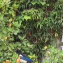 놀자당구장 이미지