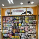 강아지랑나랑 | 속초에서 가장 큰 다이소 강아지랑 다녀왔던 후기