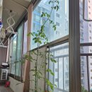 부성태권도장 이미지