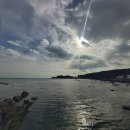 어촌밥상 이미지