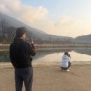 수성최씨 시조묘 | 2603