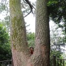 혜화동공중화장실(자치회관) | 거제지심도 낚시와 트래킹 당일치기 여행/지심도 배편 예약방법