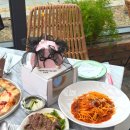 카페페스카 | [파주카페] 파주브런치 헤이리마을 파스타맛집 모쿠슈라 테이블 후기