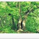 가평가평1088 이미지