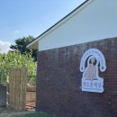 애견세상 이미지