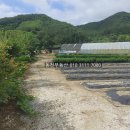 구산면600 이미지