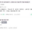 도태라플러스