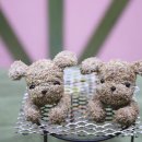 드봉펫살롱 이미지