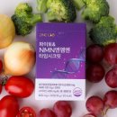 디앤씨랩
