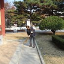 다쓸다 이미지