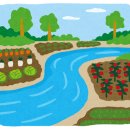 서부복싱 이미지