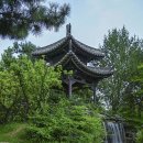 참새의 정원 이미지