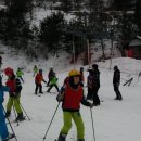 대마초등학교 이미지