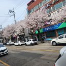 크리스탈 스킨케어 | 부천피부관리잘하는곳 찾다가 정착한 크리스탈스킨케어 솔직후기