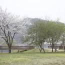 남양 다산생태공원 마재마을 봄 풍경 이미지