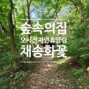보령 국립 오서산 자연휴양림 숲속의 집 채송화꽃 3인실 숲나들e 휴양림 사용 후기