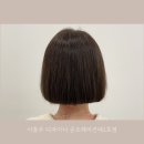 이홍주헤어 | 건대역 미용실 애쉬브라운 후기 with 이홍주 디자이너 준오헤어건대1호점