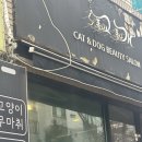 폼나고폼나개 이미지