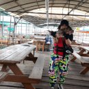 와따좌대낚시터 이미지