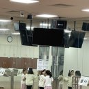 미도리하우스 이미지