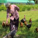 (주)참솔 네이버블로그