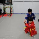 조천체육관 체육관 이미지