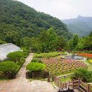 대아식당 이미지