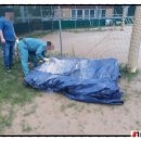 당진야구장 이미지