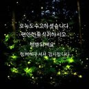 편안한휴식 이미지