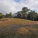 토산2리 이미지