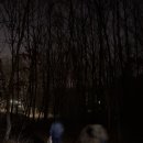 ........................................ 이미지